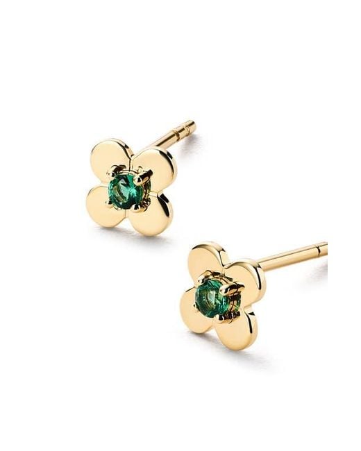 Ana Luisa Green Solid