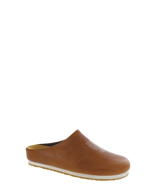 SAS Brown Hinny Mule