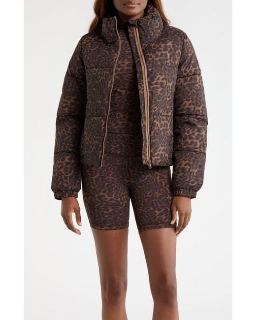 Mpg Brown Water Resistant Leopard Print Puffer Jacket