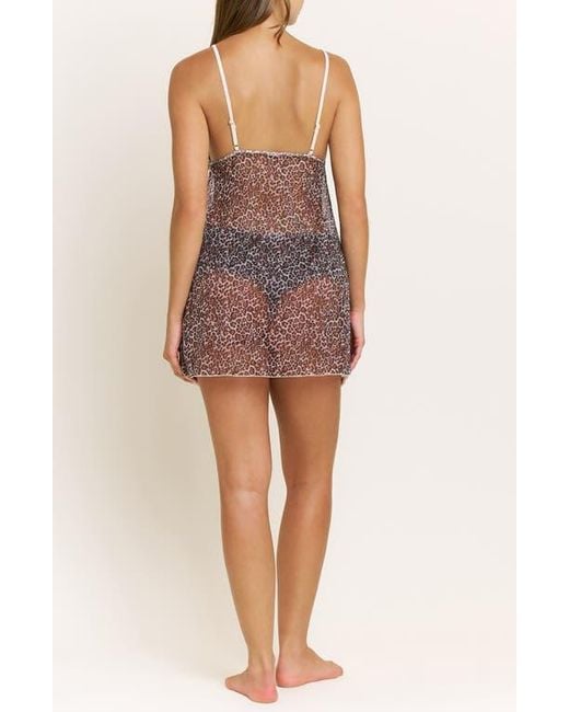 Honeydew Intimates Purple Rumba Floral Ruffle Sheer Chemise