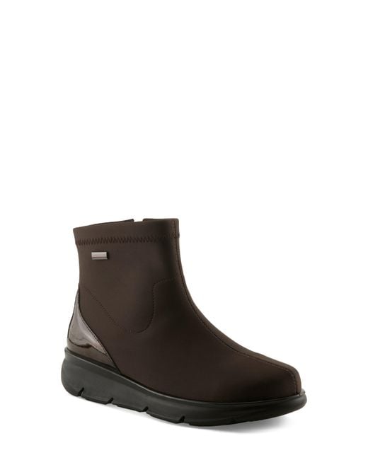 Flexus by Spring Step Black Caravyn Bootie