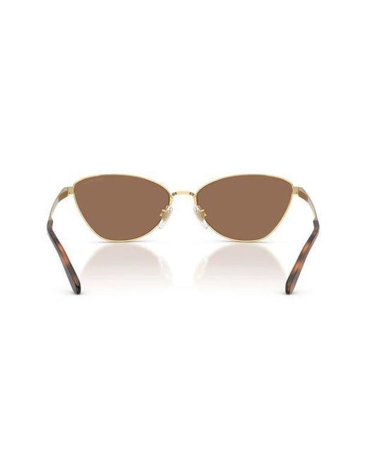 Ralph Lauren Brown 60Mm Rectangular Sunglasses