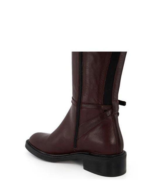 Dune Brown Tia Knee High Boot