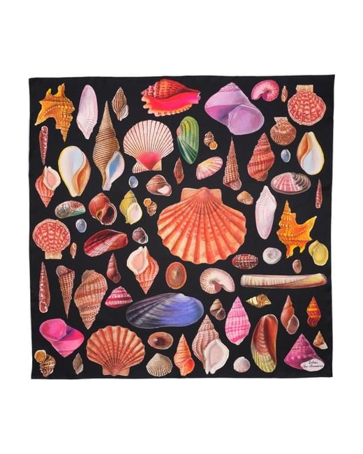 Echo Black Sea Treasures Scarf