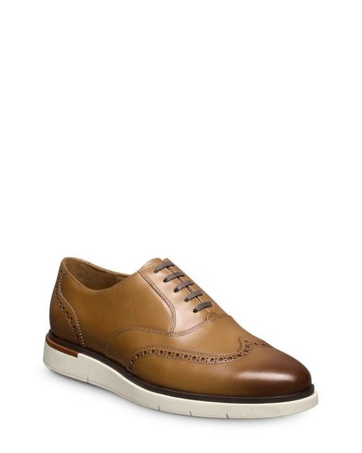 Allen Edmonds Brown Carson Hybrid Wingtip Oxford for men