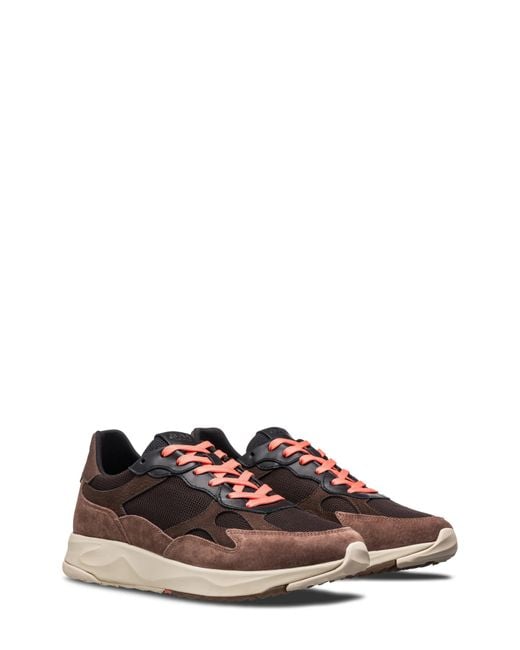 CLAE Brown Zuma Sneaker for men