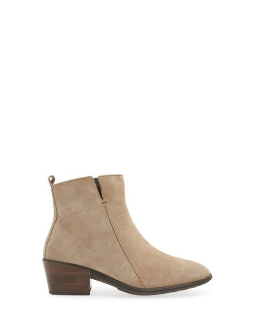 Naot Brown Ethic Bootie