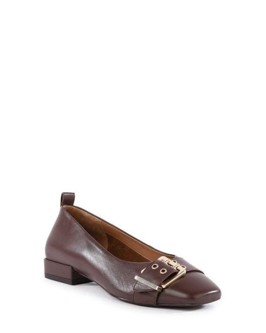 Seychelles Brown Cambridge Pump