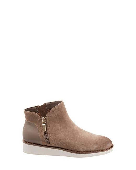Softwalk® Brown Wesley Bootie