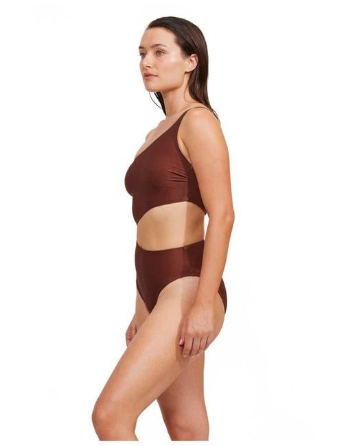 Luma Gottex Brown High End One Shoulder Cut Out One Piece