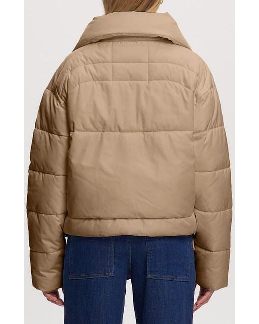 Noize Blue Cropped Puffer Drawstring Jacket
