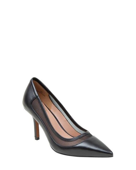 LINEA PAOLO Mabel Pointed Toe Loafer (Women)