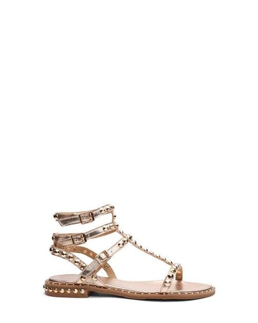 Ash Pink Play 2 Gladiator Sandal
