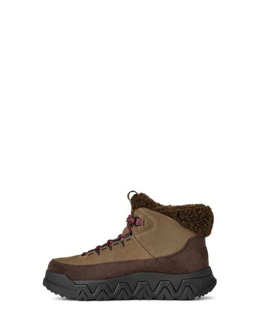 Ugg Brown Terretrail Cozy Waterproof Winter Boot