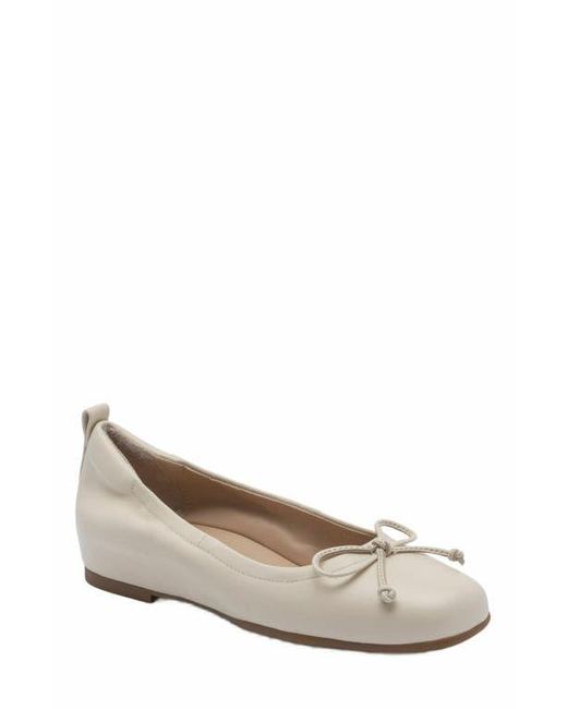 ABEO White Cadence Bow Ballet Flat