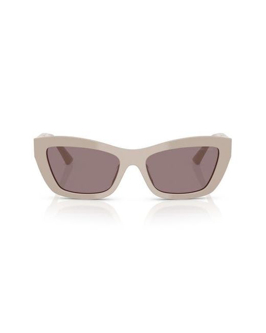 Jimmy Choo Gray 54Mm Cat Eye Sunglasses for men