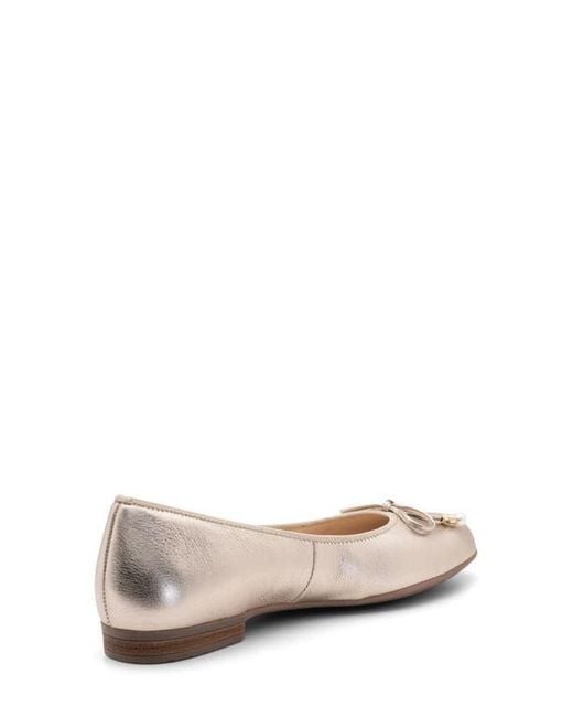 Ara Natural Scout Flat