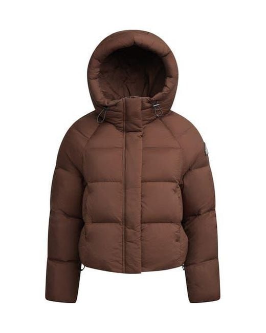 Jacket Brown Cloud Cropped Hooded Puffer Jacket