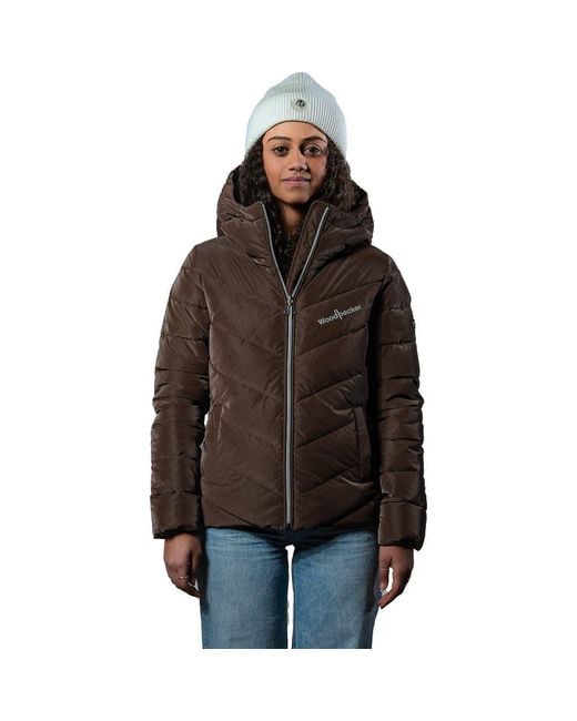 Woodpecker Brown Robin Medium Weight Coat