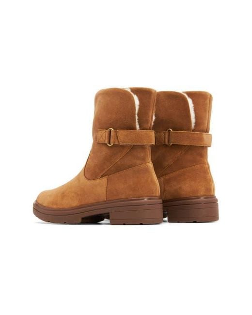 ABEO Brown Vista Mid Boot