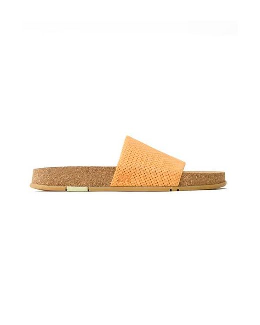 Message Multicolor Mullen Slide