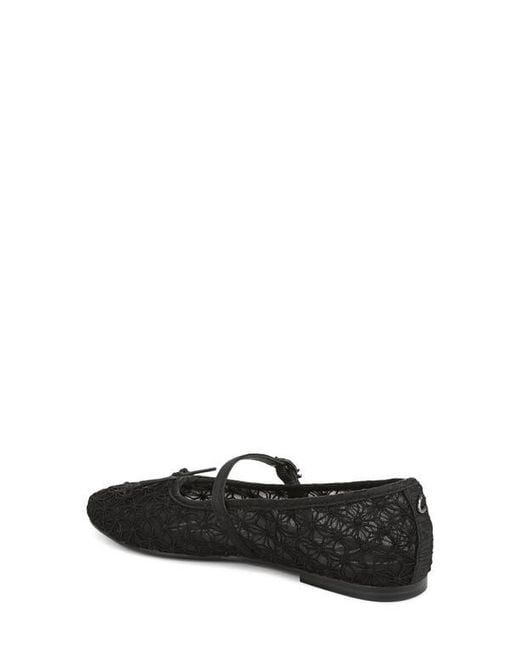 Circus by Sam Edelman Black Sofie Mesh Ballet Flat