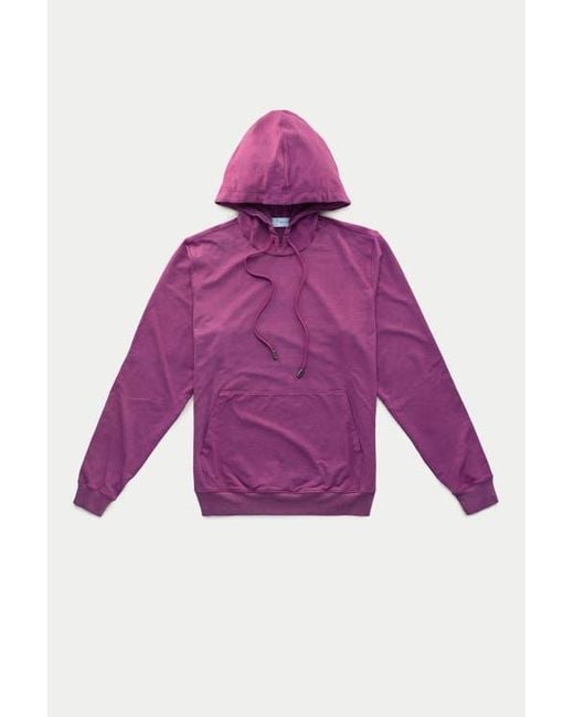 Wolf Vs. Goat (WvG) Purple Sorona Pullover With Hood for men
