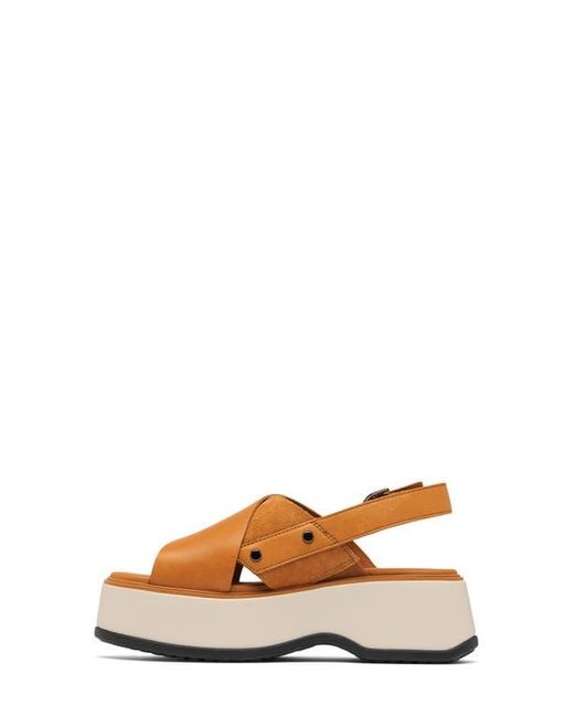 Sorel Brown Dayspring Crisscross Sandal