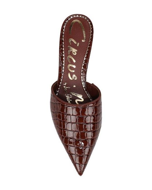 Circus by Sam Edelman Brown Gemma Mule
