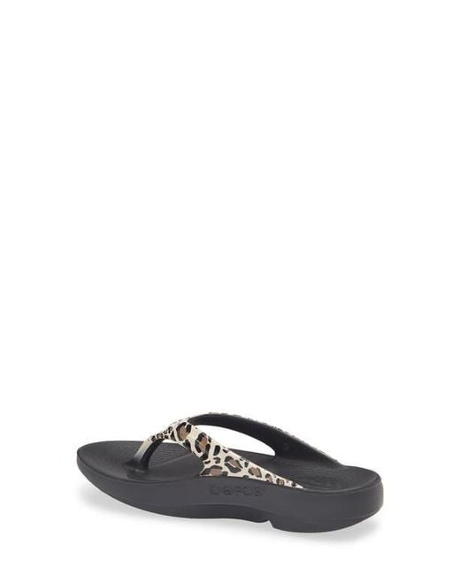 OOFOS Gray Oolala Flip Flop