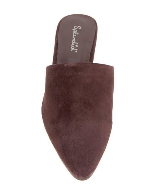 Splendid Brown Lorelei Mule