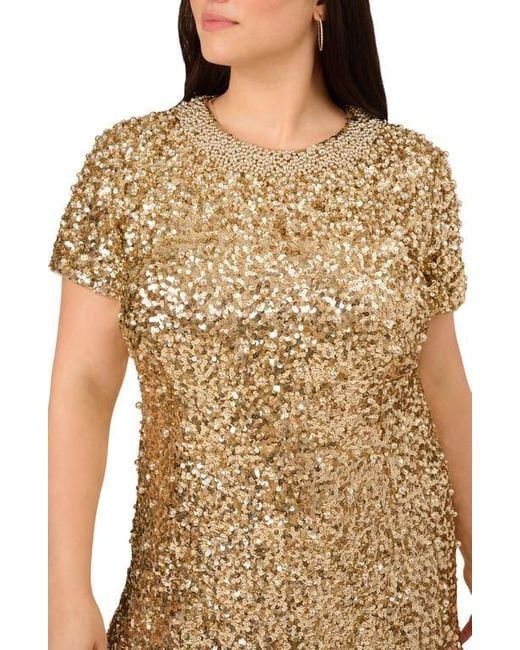 Adrianna Papell Beaded Short Sleeve Shift Cocktail Dress in Natural | Lyst Adrianna Papell Beaded Short Sleeve Shift Cocktail Dress in Natural | Lyst