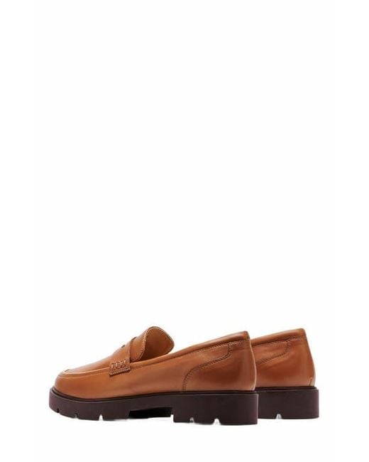 ABEO Brown Boulevard Loafer