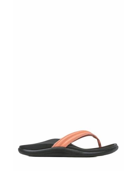 ABEO Multicolor Laguna Thin Strap
