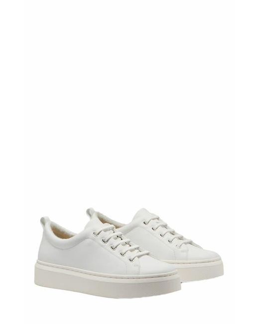 ABEO White Jumpstreet Bungee Sneaker