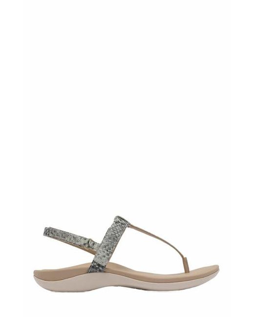 ABEO Metallic Oasis T Strap Sandal