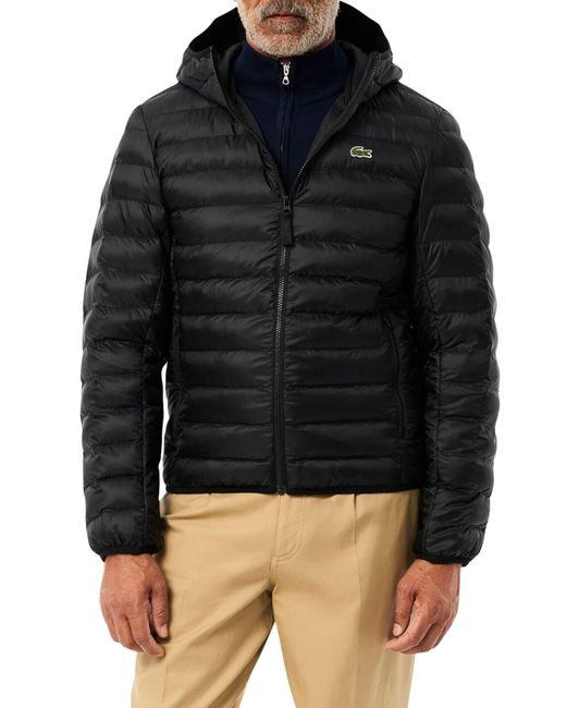 Lacoste Black Hooded Puffer Jacket for men