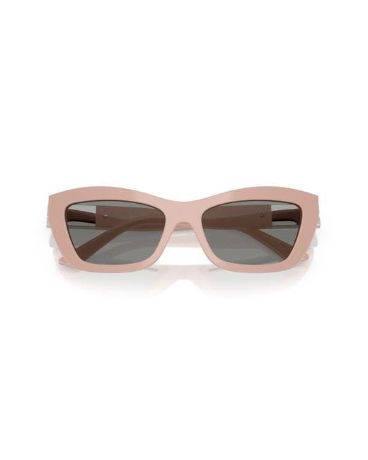 Jimmy Choo Gray 54Mm Cat Eye Sunglasses for men