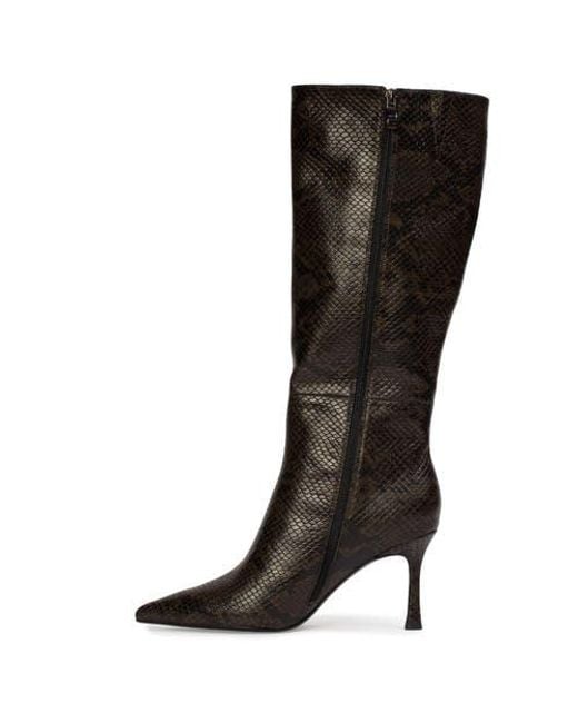 Black Suede Studio Black Draya 80 Snake Boot
