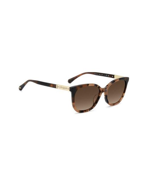 Kate Spade Brown Seline 54Mm Rectangular Sunglasses