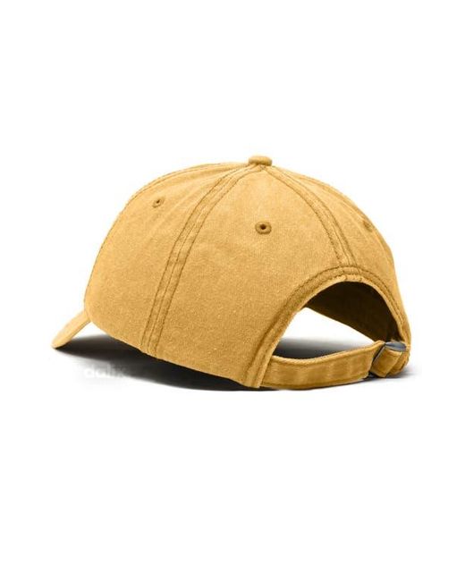 Alix Natural Lil Cherry Dad Cap