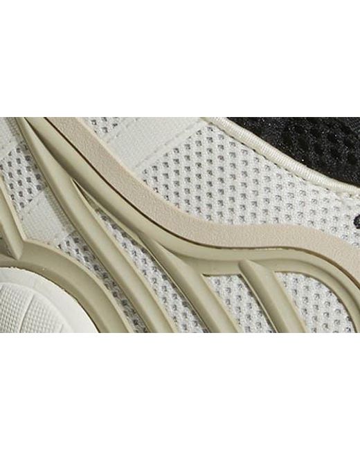Adidas Brown Intimidation Low Basketball Sneaker for men
