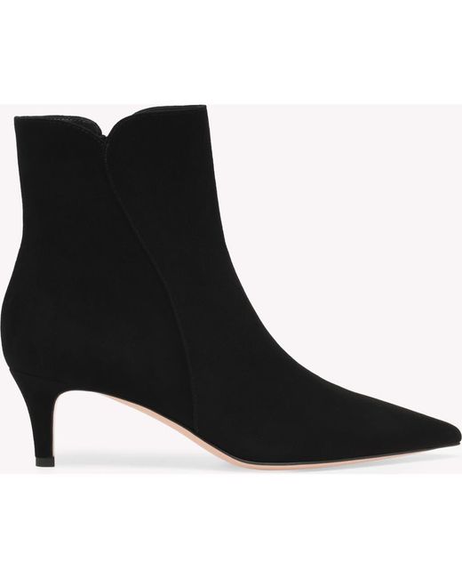 Gianvito Rossi Black Levy 55 Booties