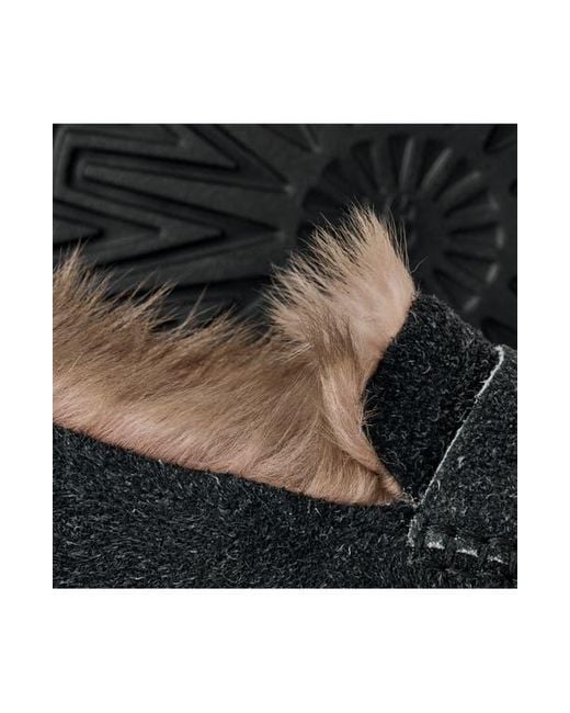 Ugg Black Ellis Wool Loafer