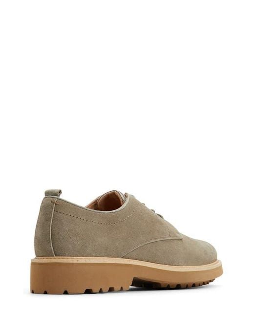 Ted Baker Gray Rye Derby for men