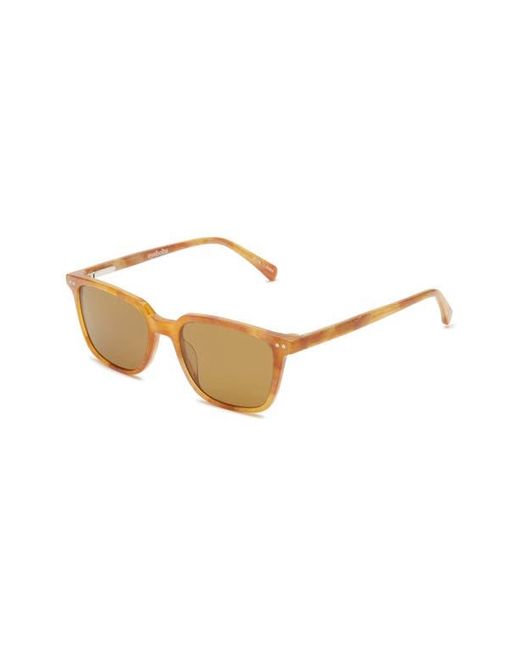 Eyebobs Brown C Suite 50Mm Polarized Square Sunglasses