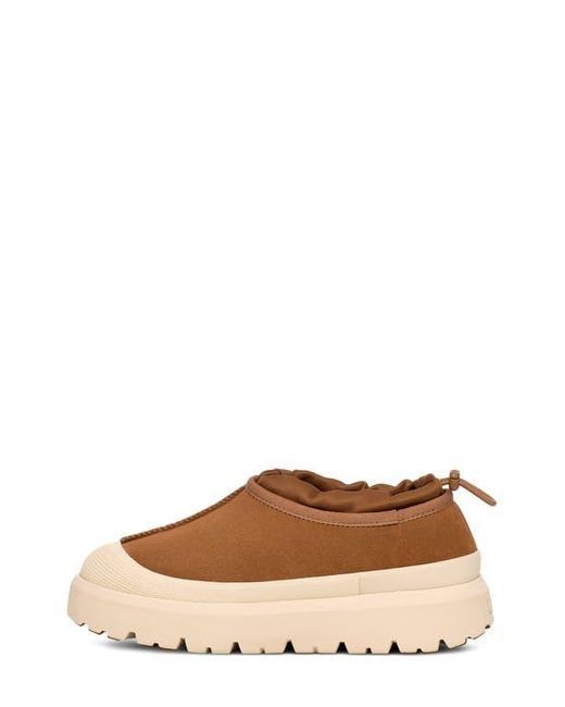 Ugg Brown ugg(r) Tasman Waterproof Hybrid Slip-on Shoe for men