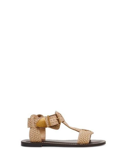 Steve Madden Brown Brazinn Gladiator Sandal