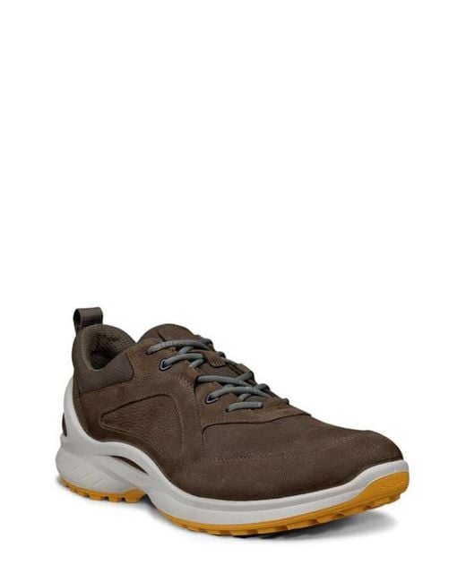 Ecco Brown Biom Energi Explorer Sneaker for men