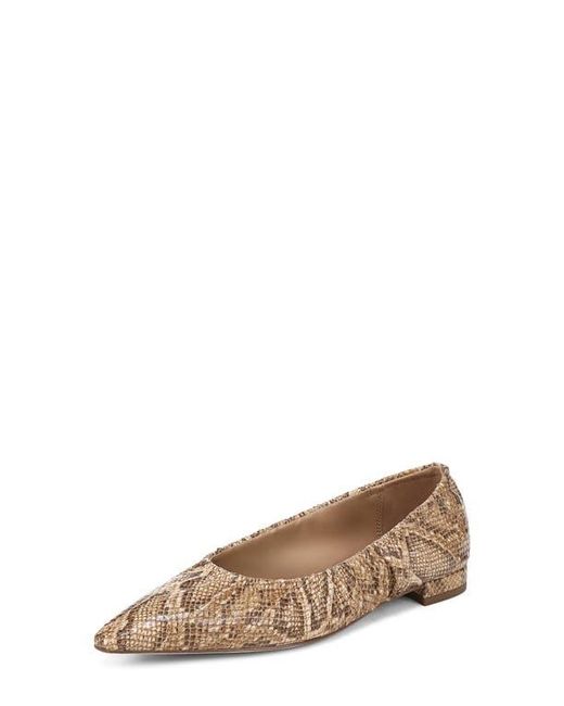 Sam Edelman Brown Essex Pointed Toe Flat